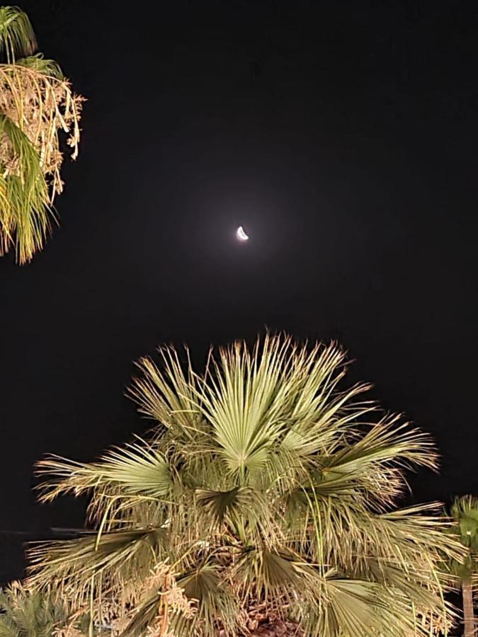 Alex Beach Apartment 31 Larnaca Buitenkant foto